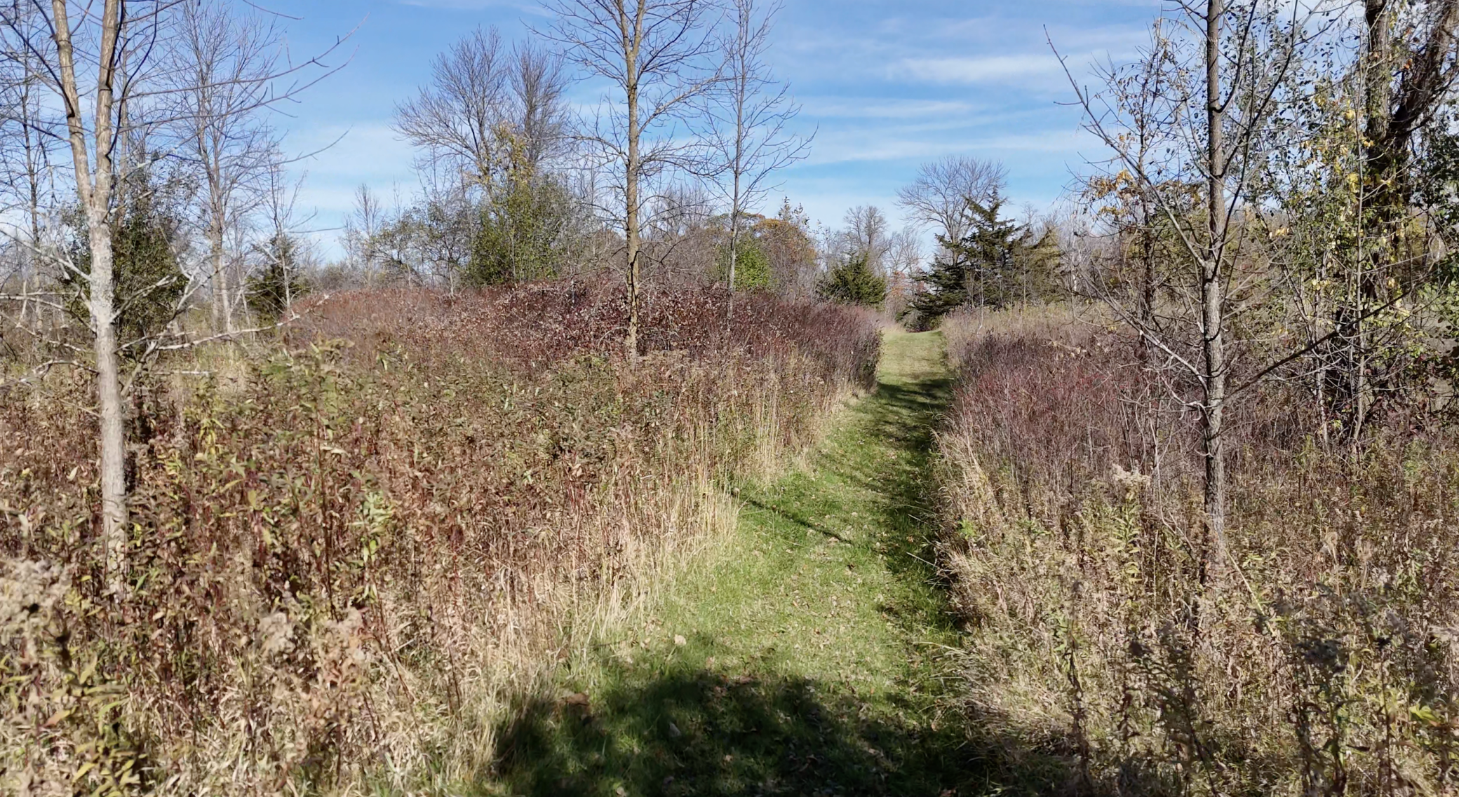 main property photo 112
