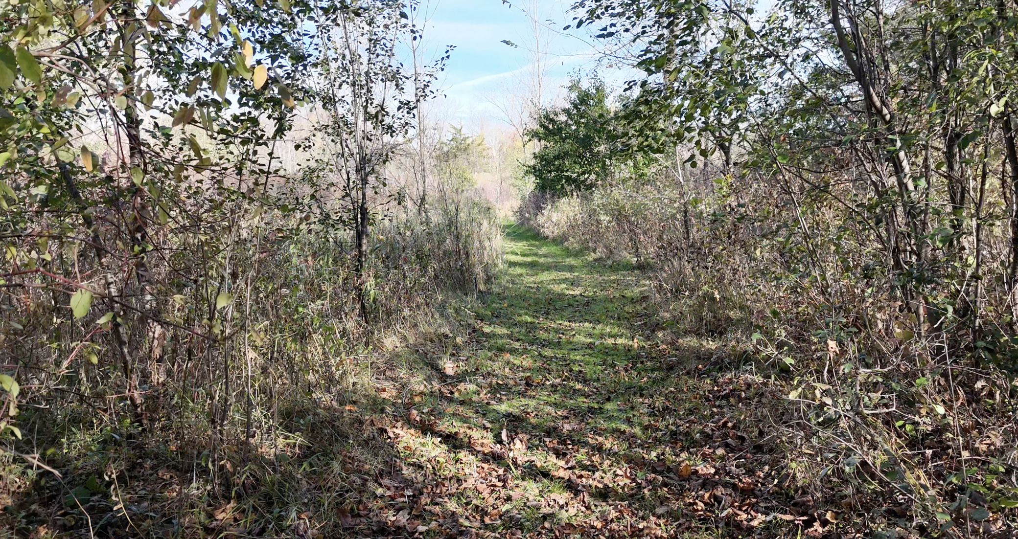 main property photo 113