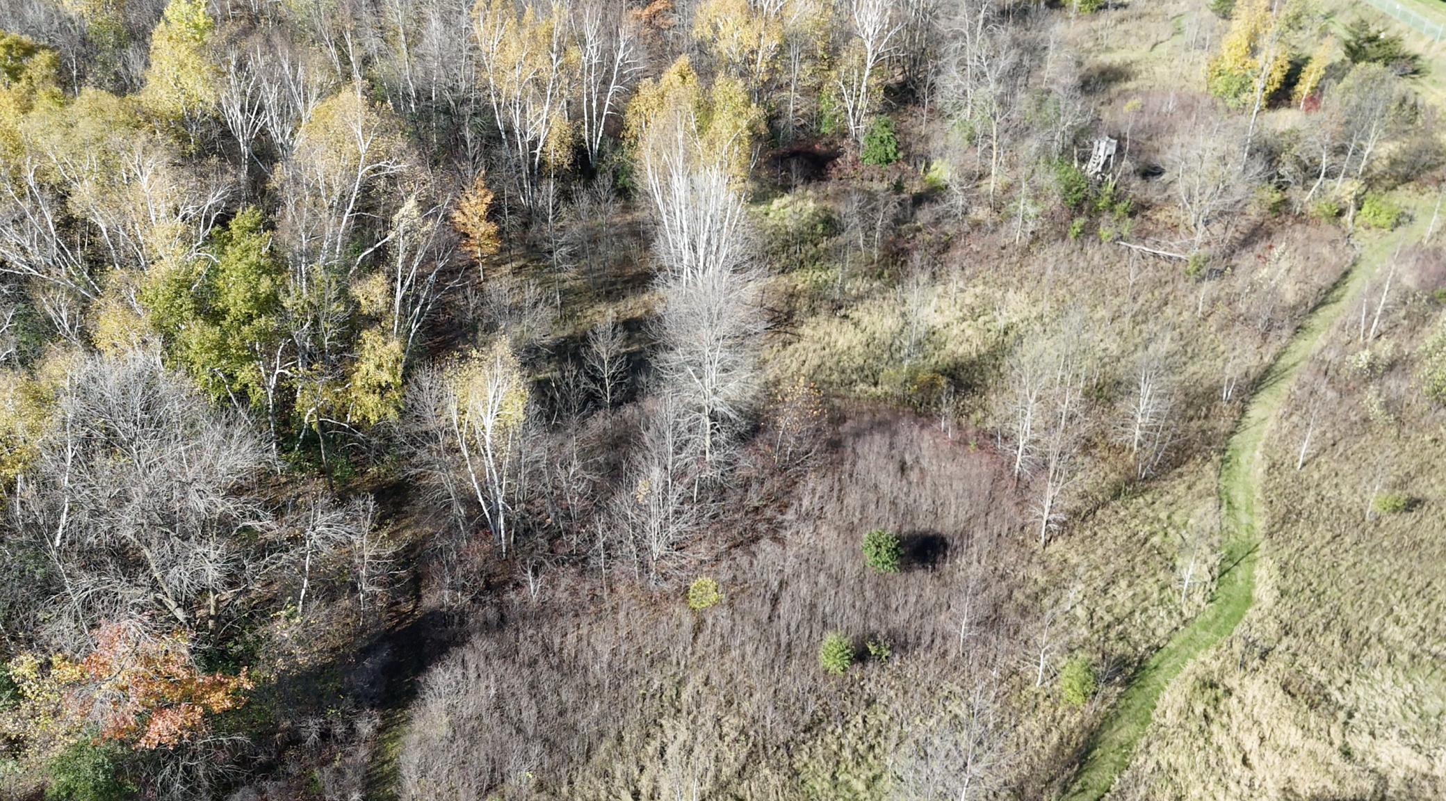main property photo 117