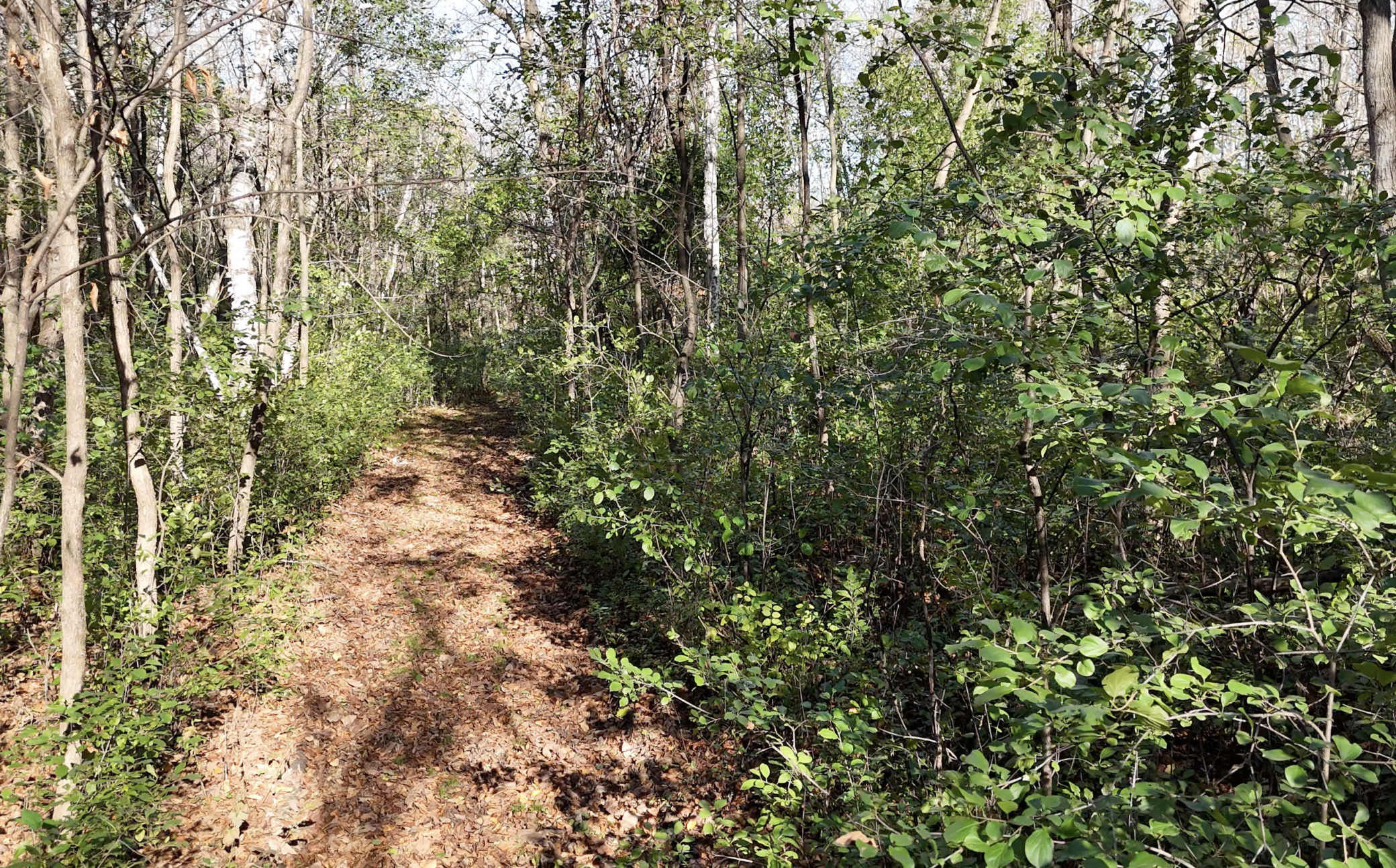 main property photo 118