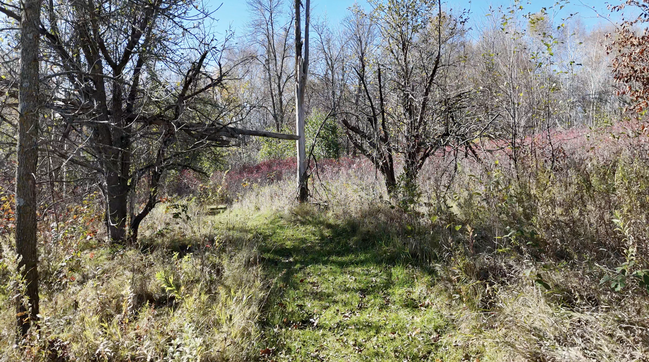 main property photo 119