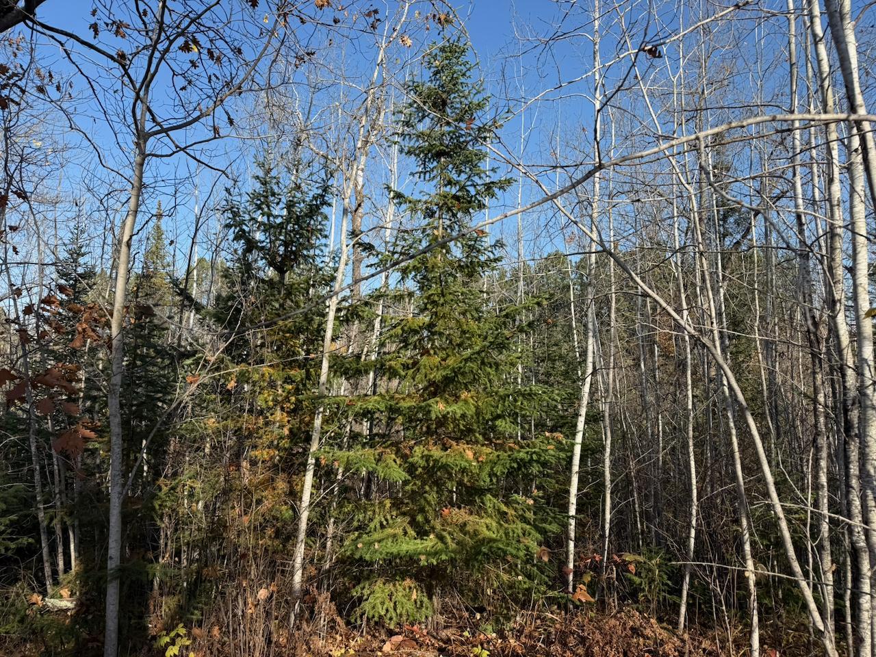 main property photo 11