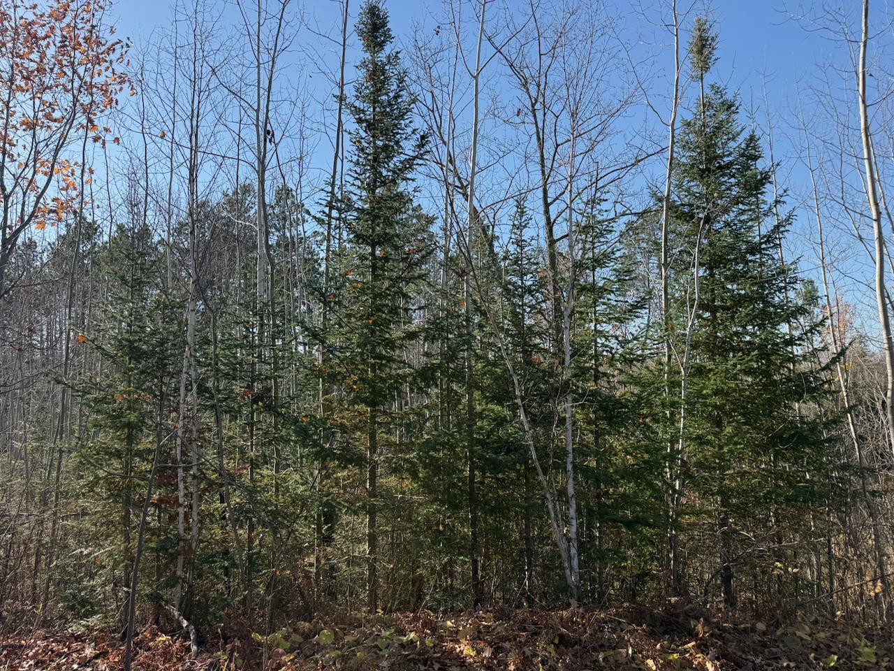main property photo 12