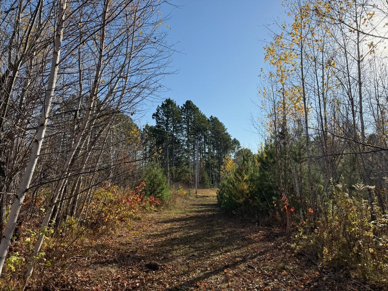 main property photo 17