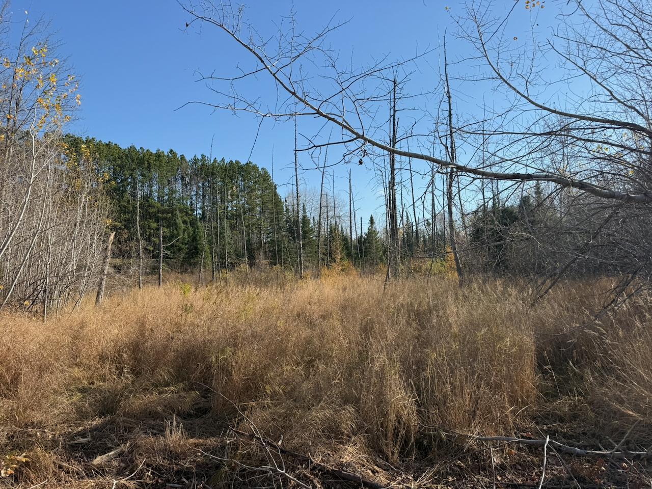 main property photo 19