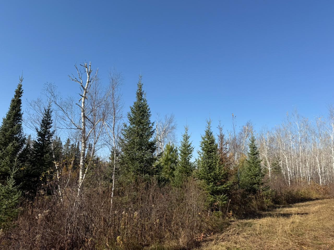 main property photo 25