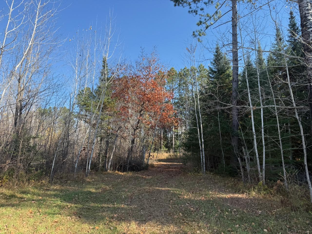 main property photo 34