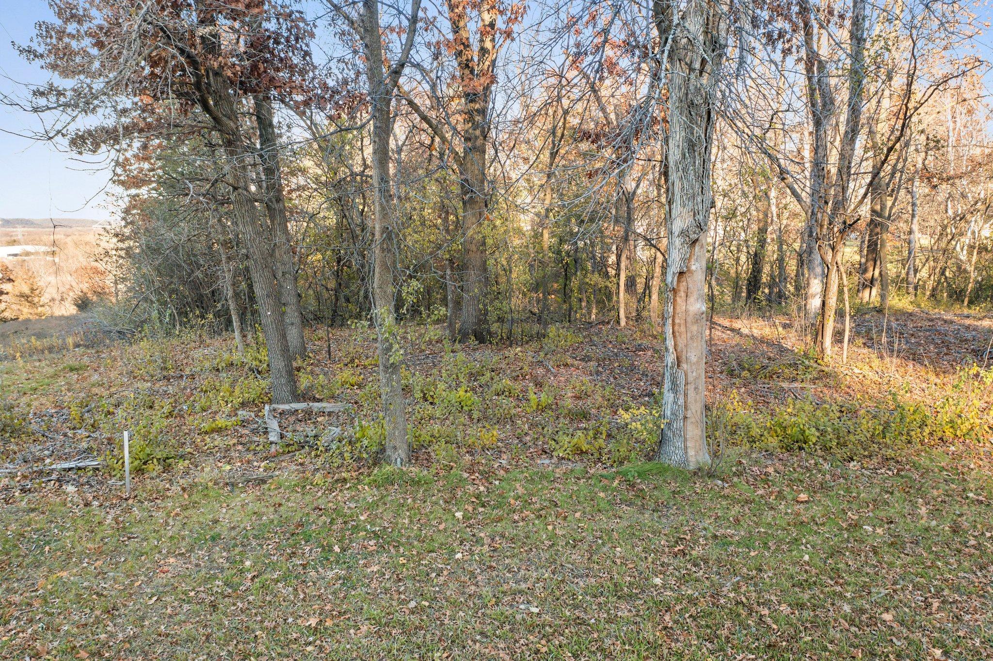 main property photo 31