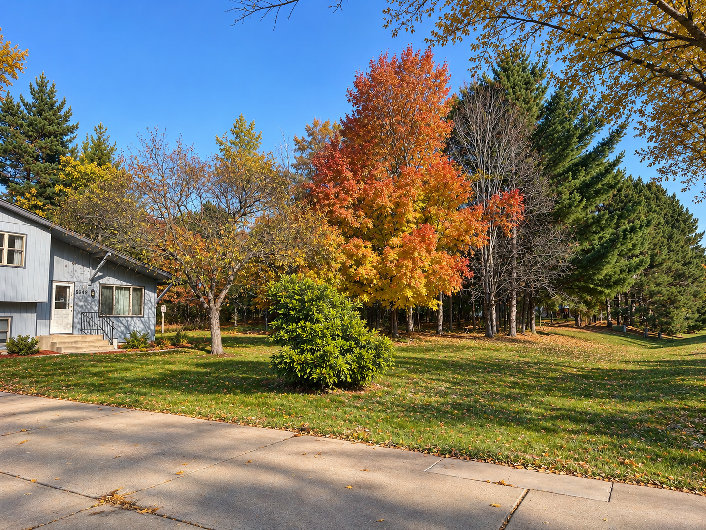main property photo 3