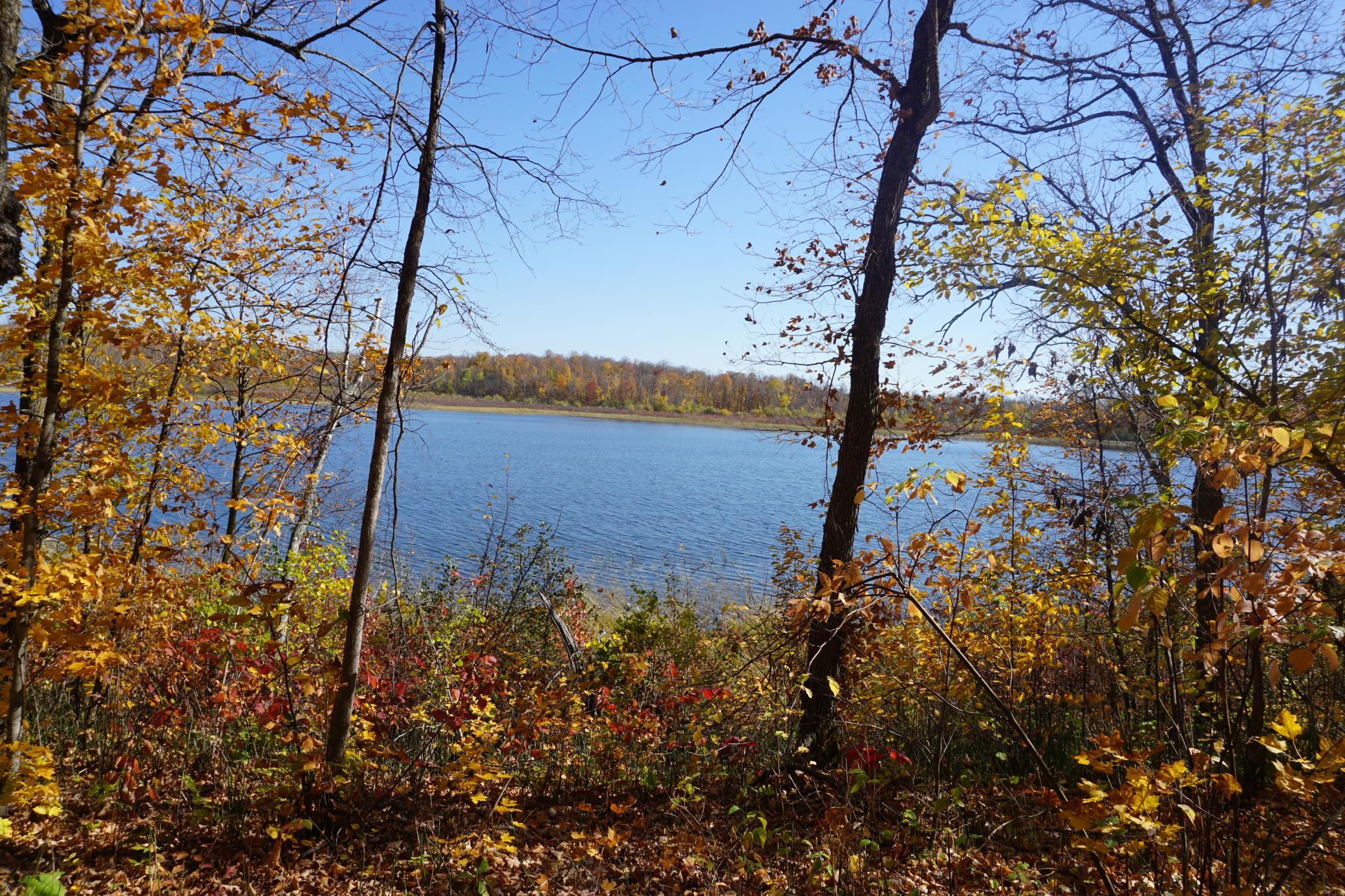 main property photo 0
