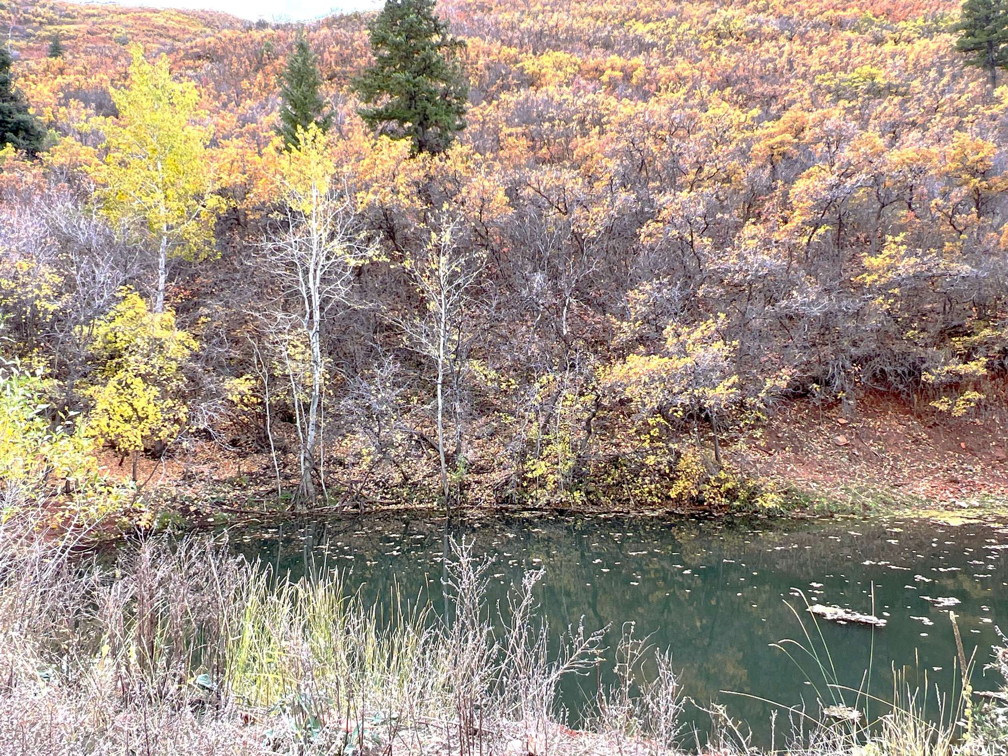 main property photo 16