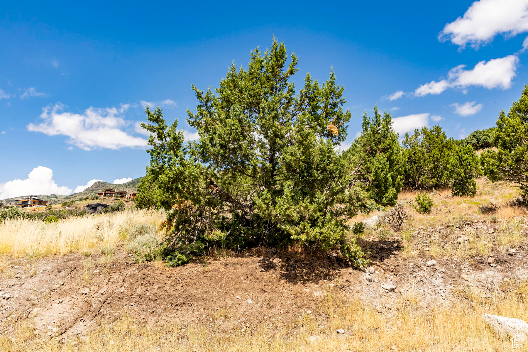 main property photo 57