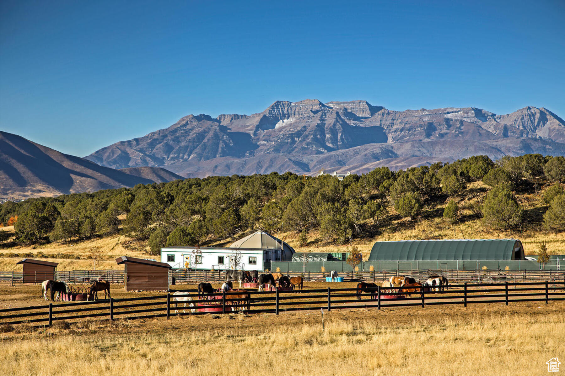 main property photo 68