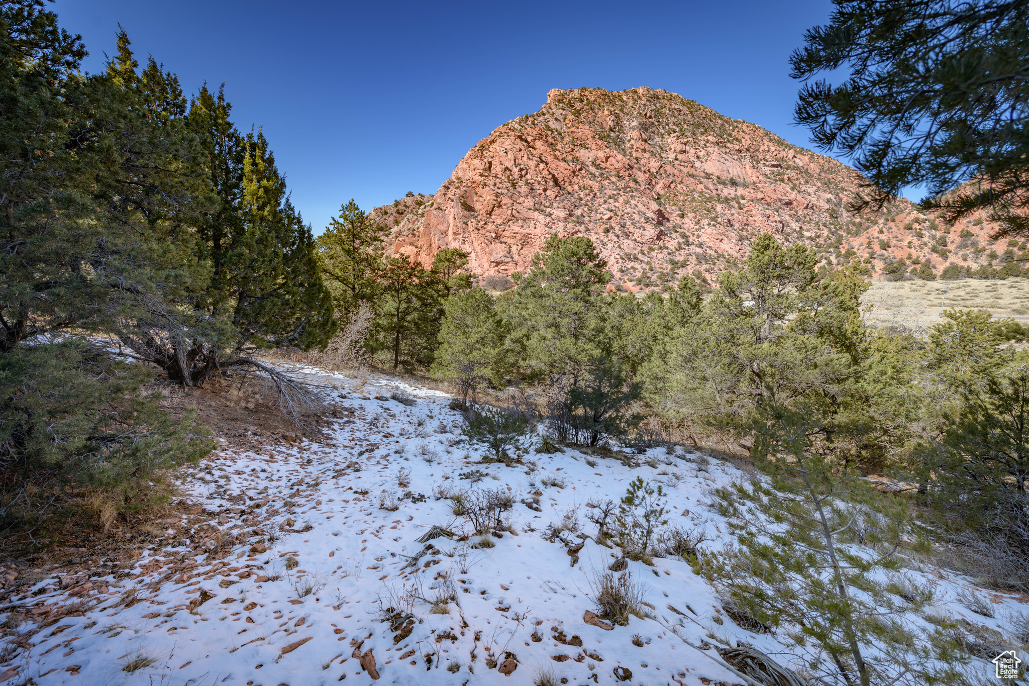 main property photo 14