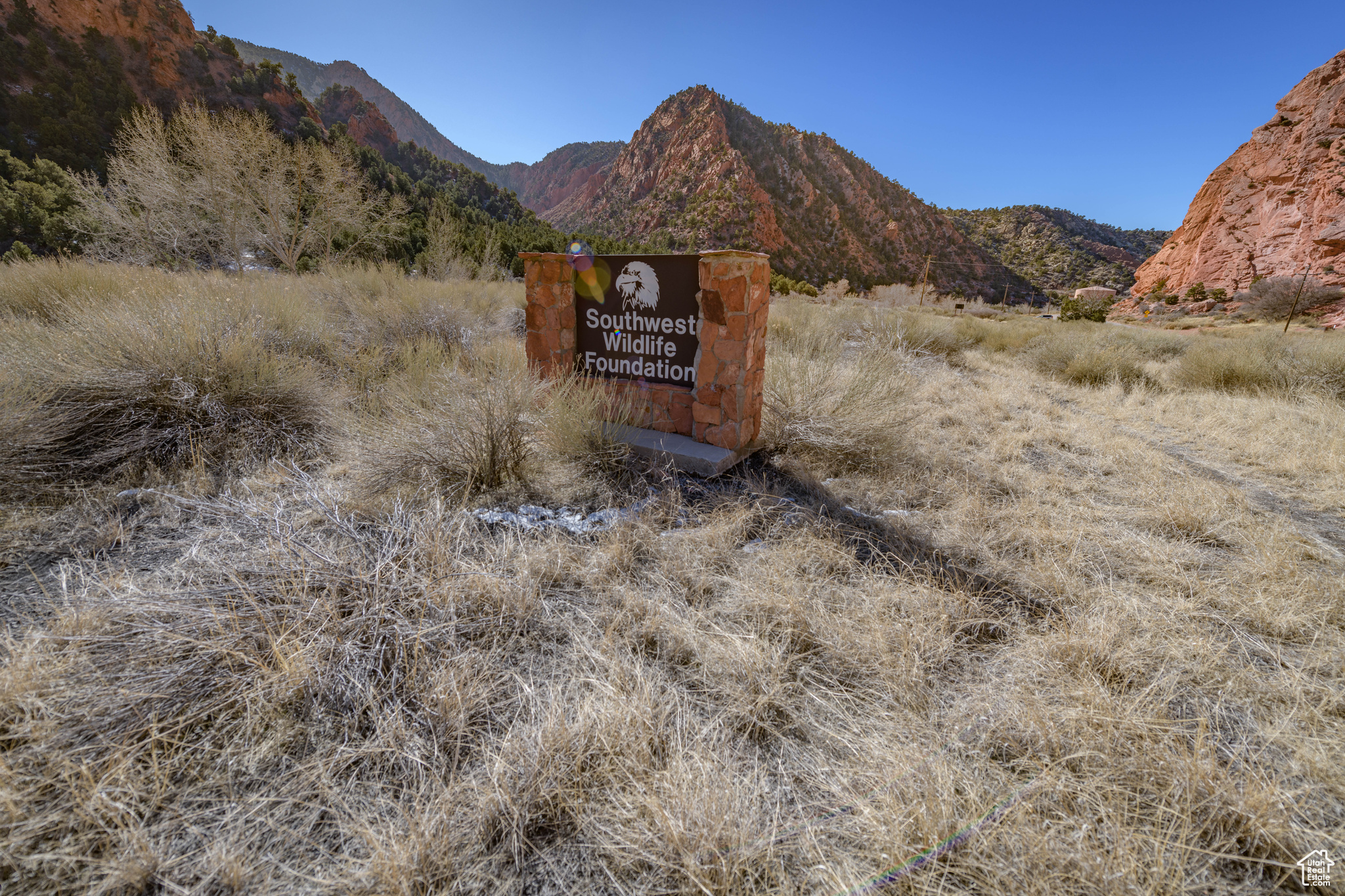 main property photo 49