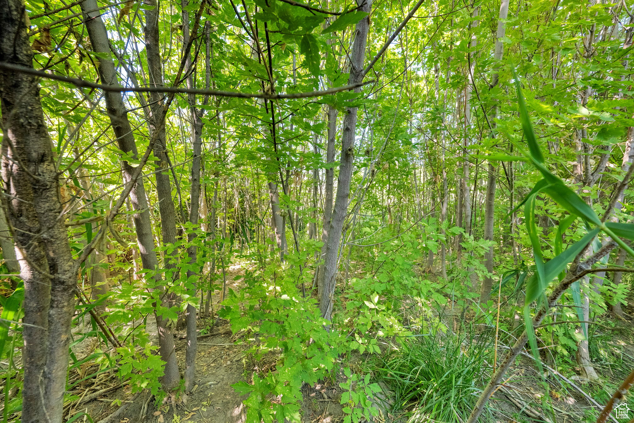 main property photo 85