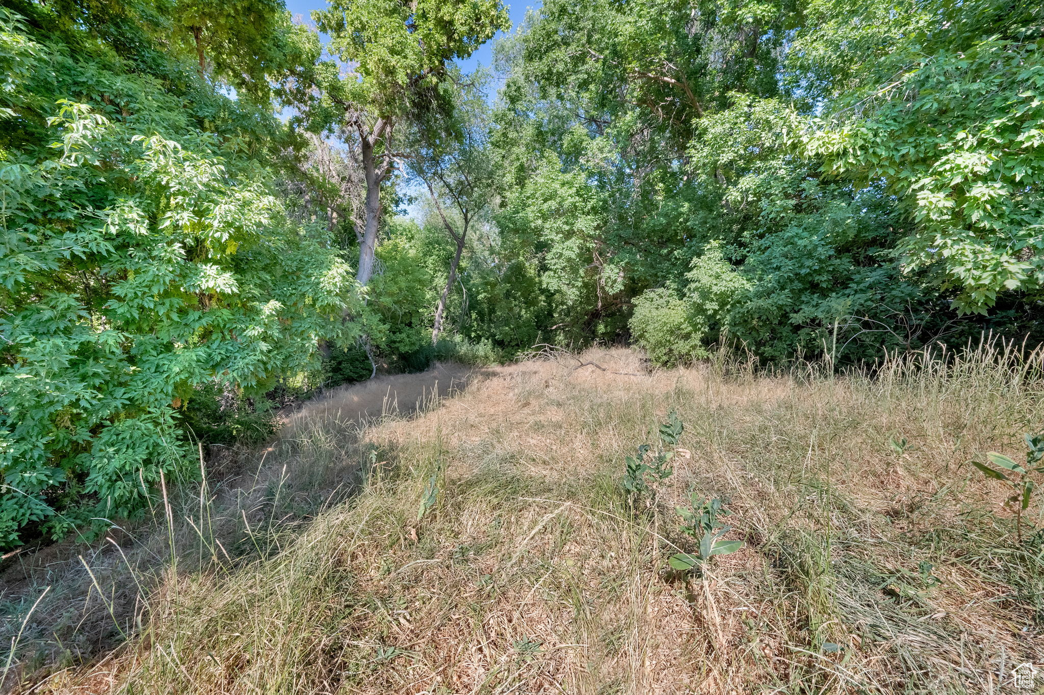 main property photo 87