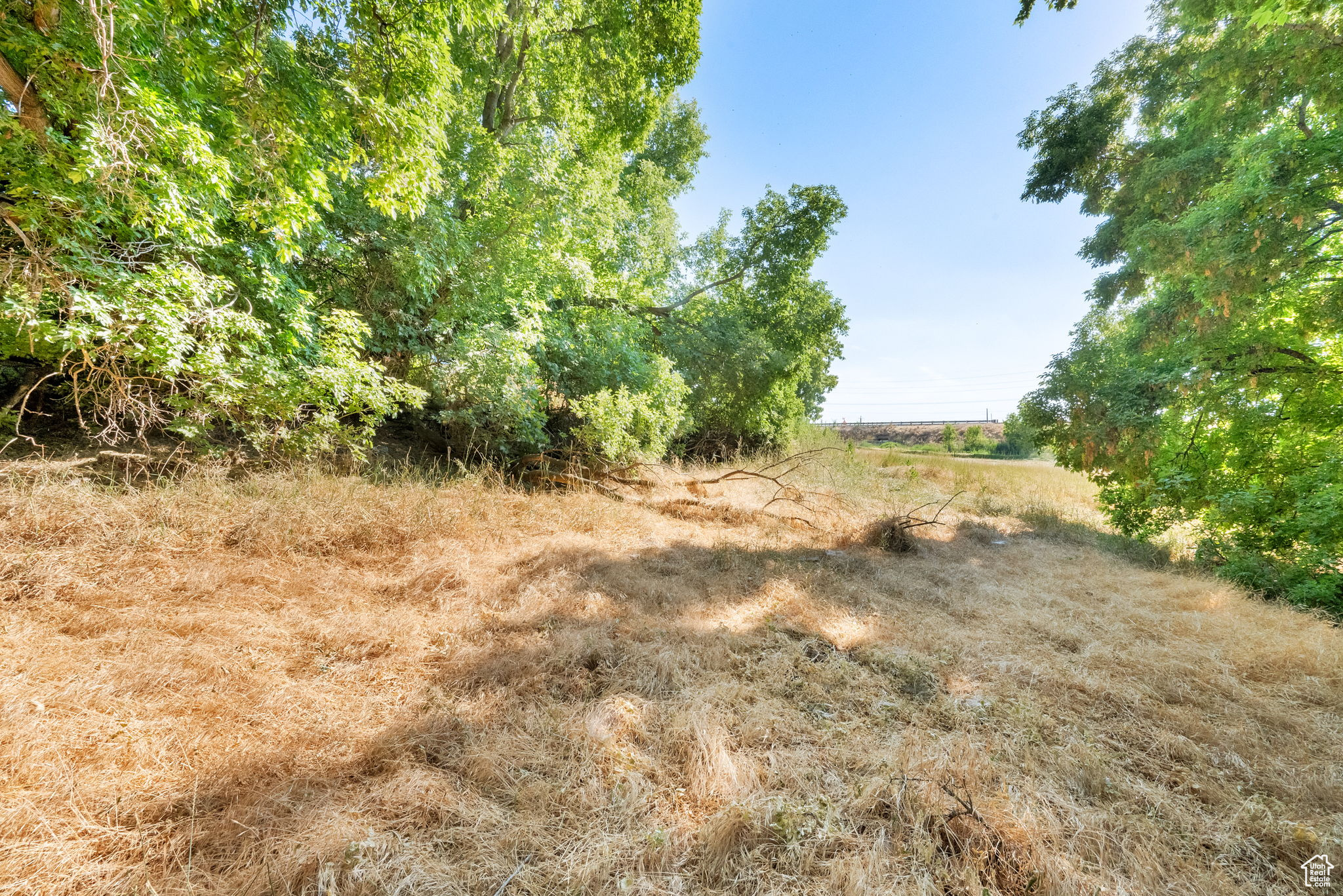 main property photo 90