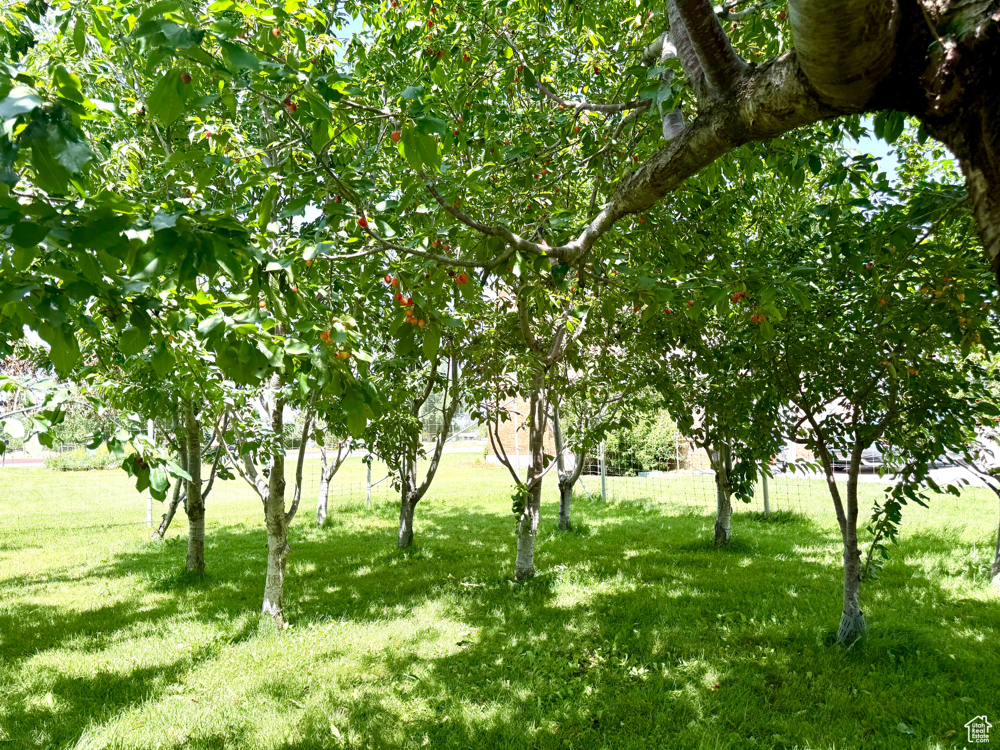 main property photo 12