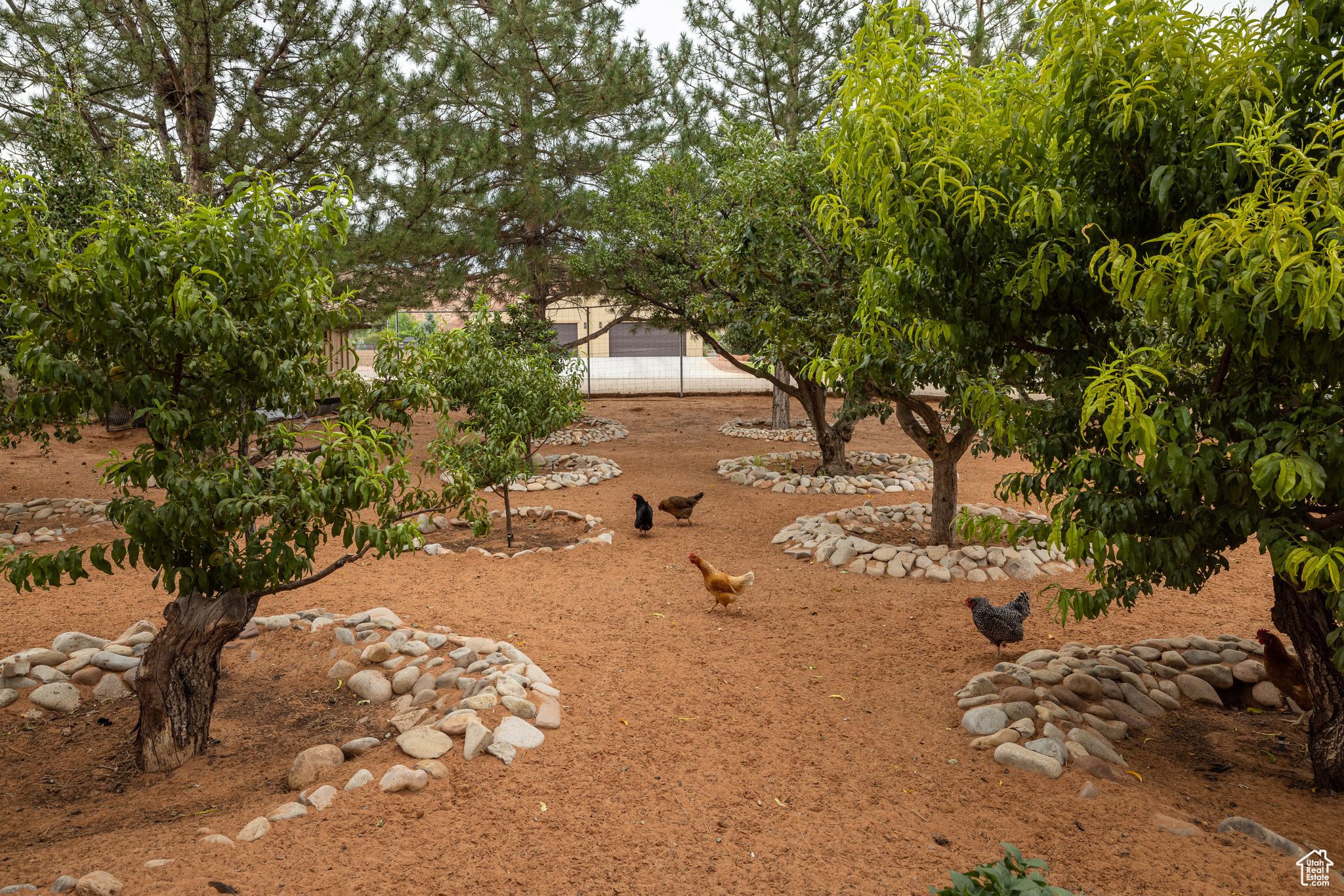 main property photo 26