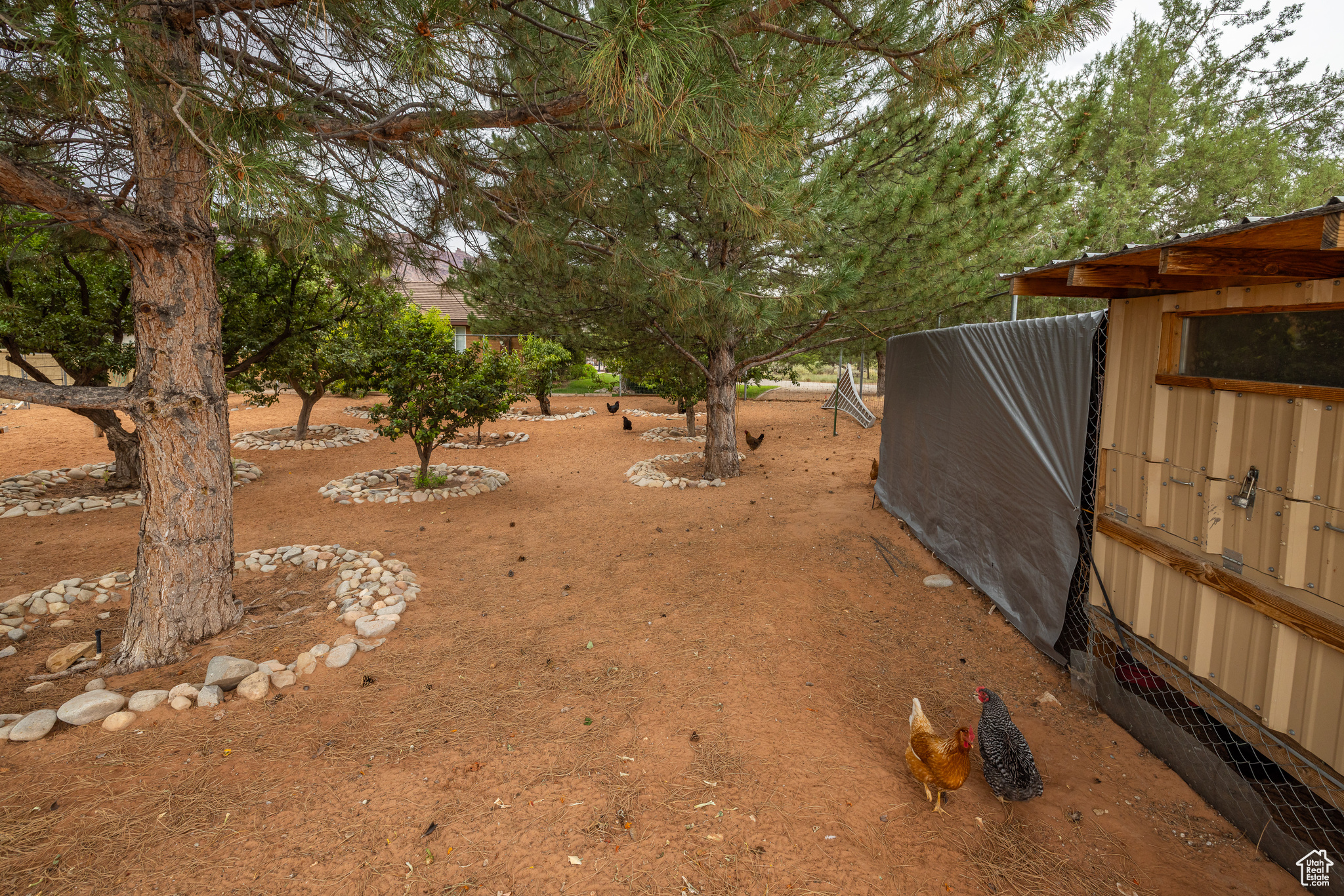 main property photo 27