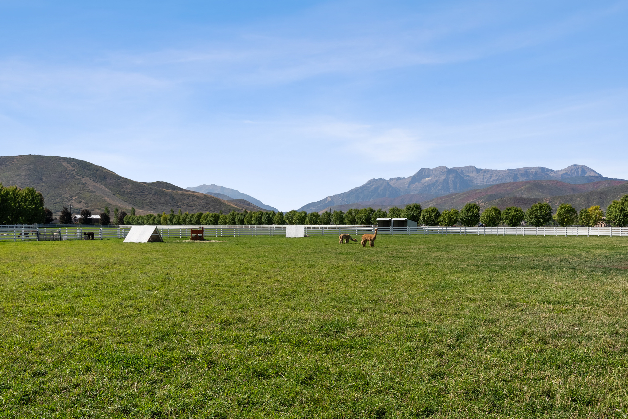 main property photo 160