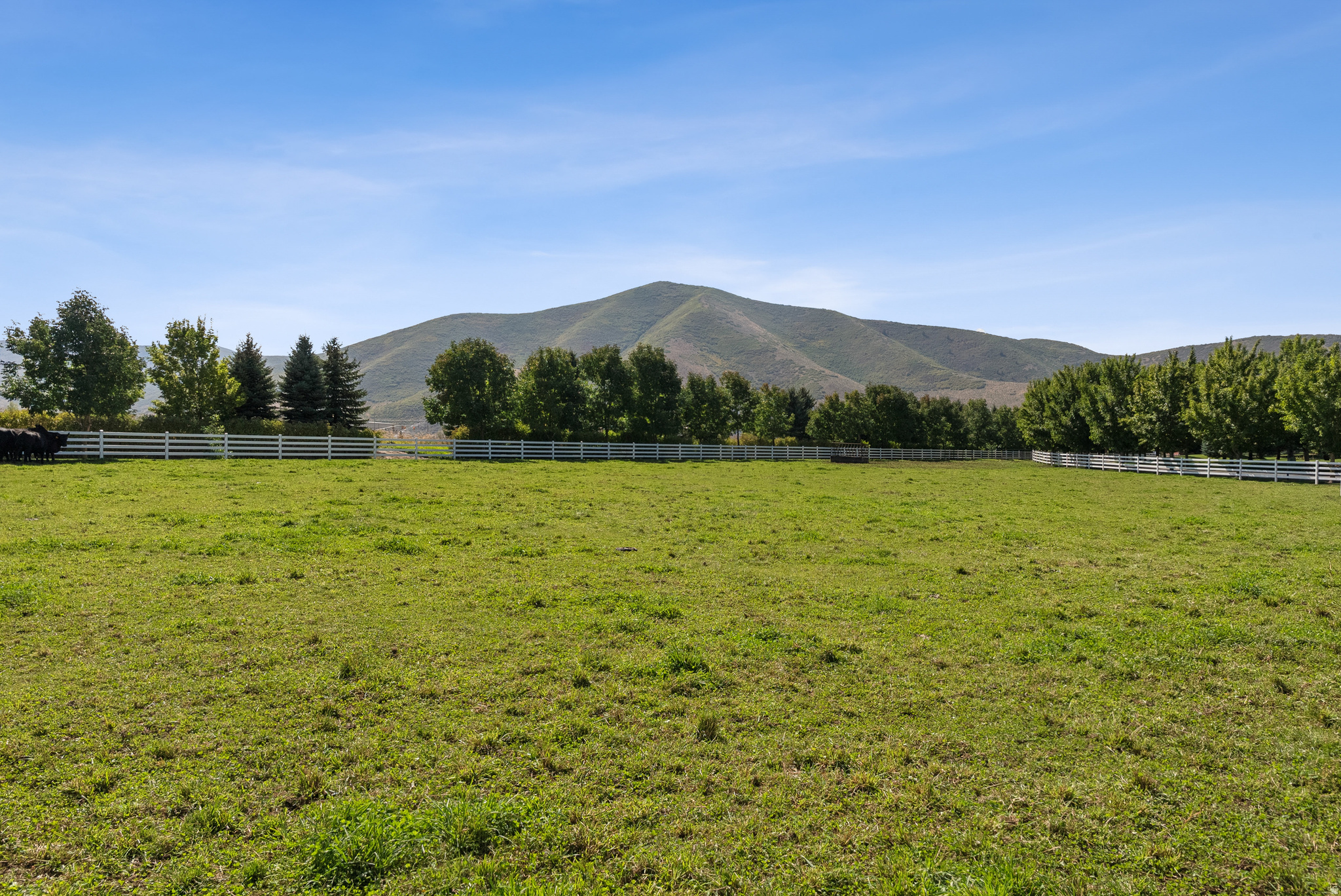 main property photo 175