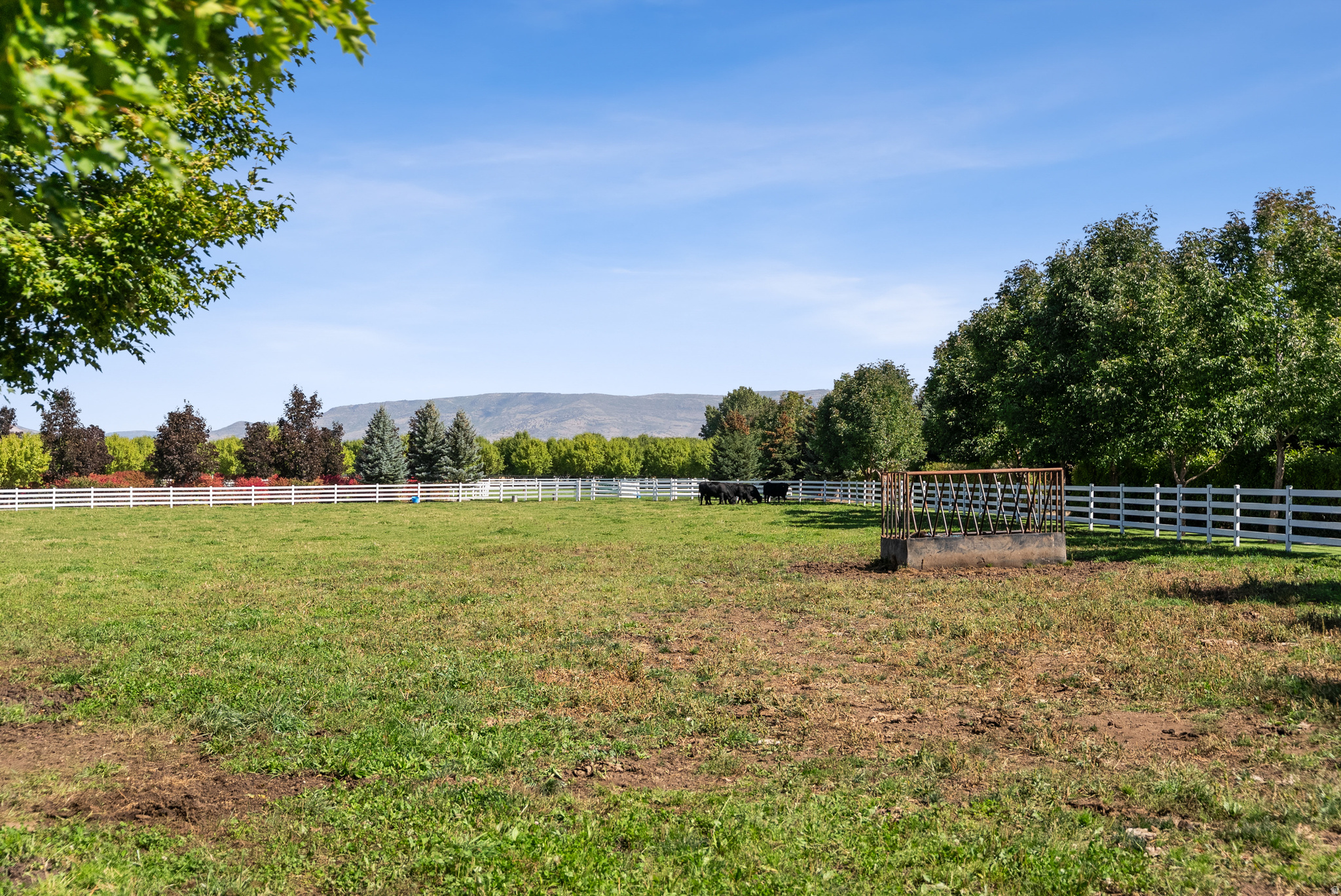 main property photo 179
