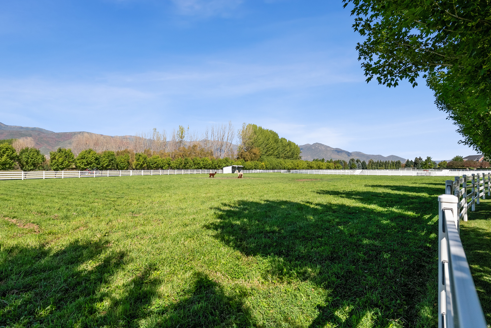 main property photo 181