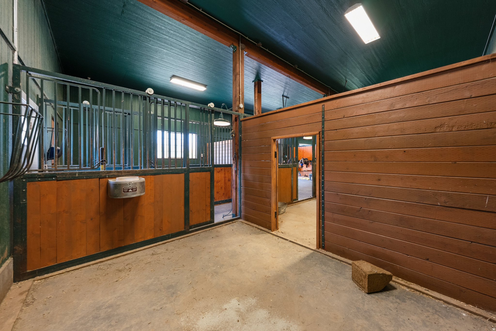 main property photo 50