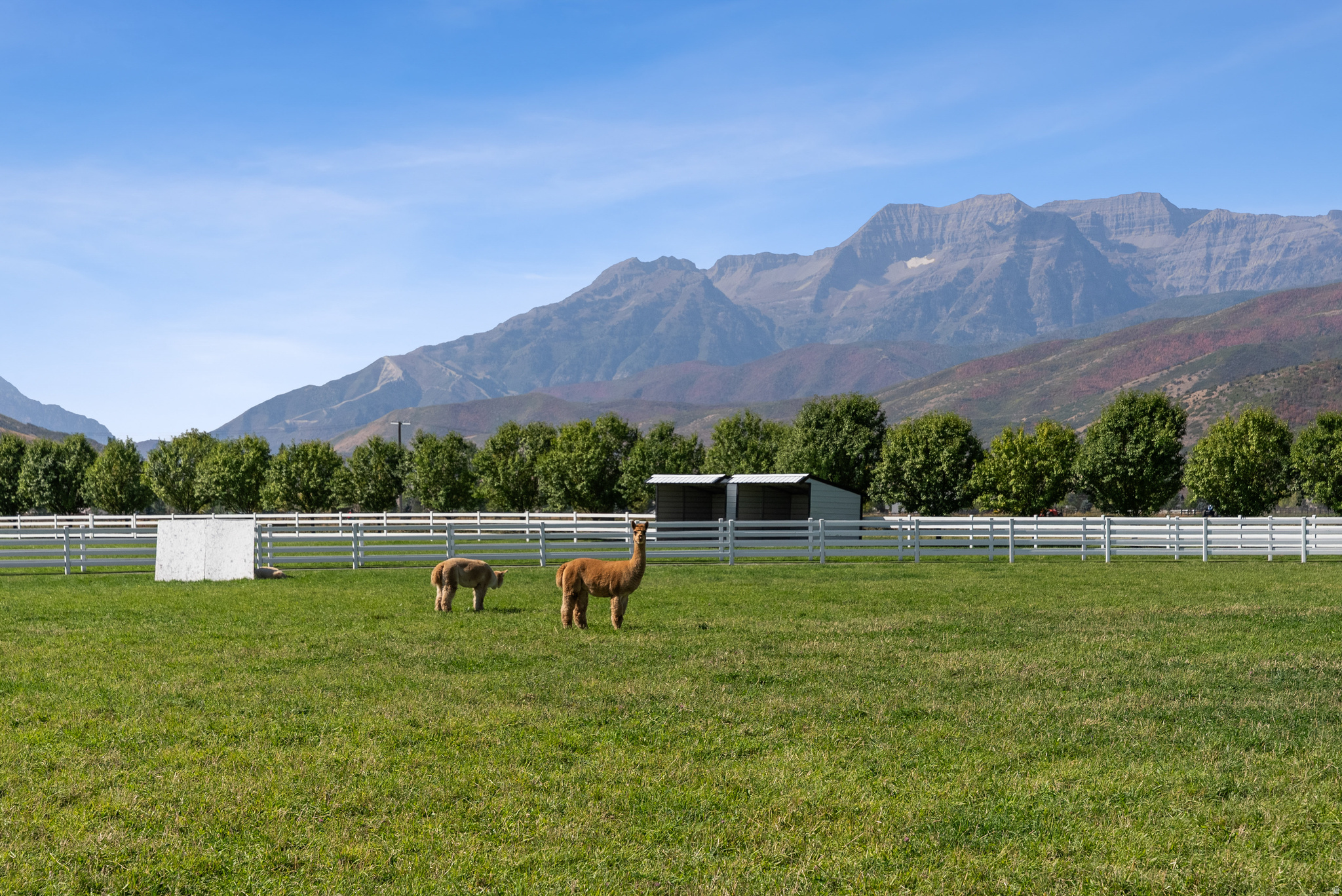 main property photo 65