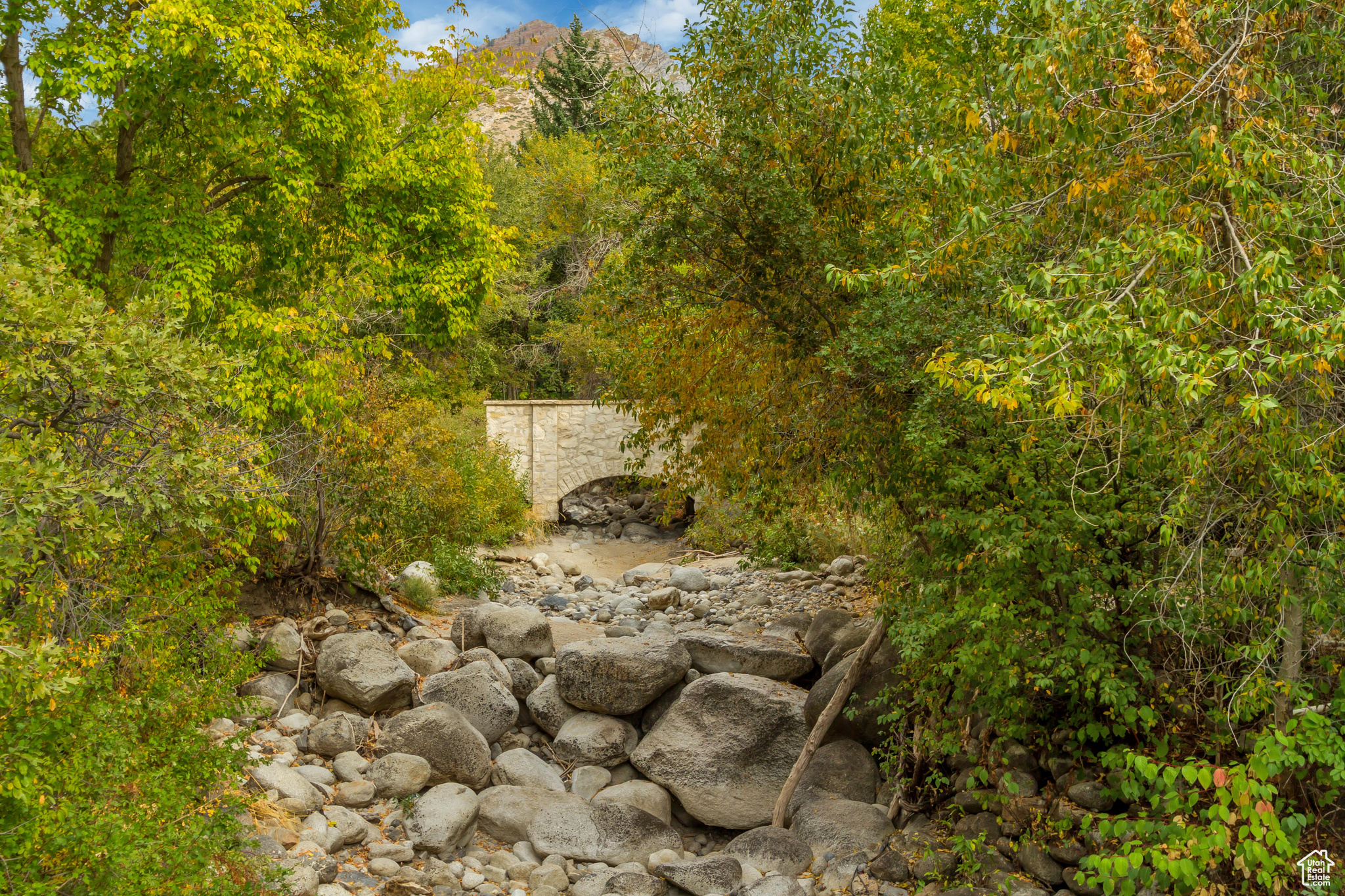 main property photo 92