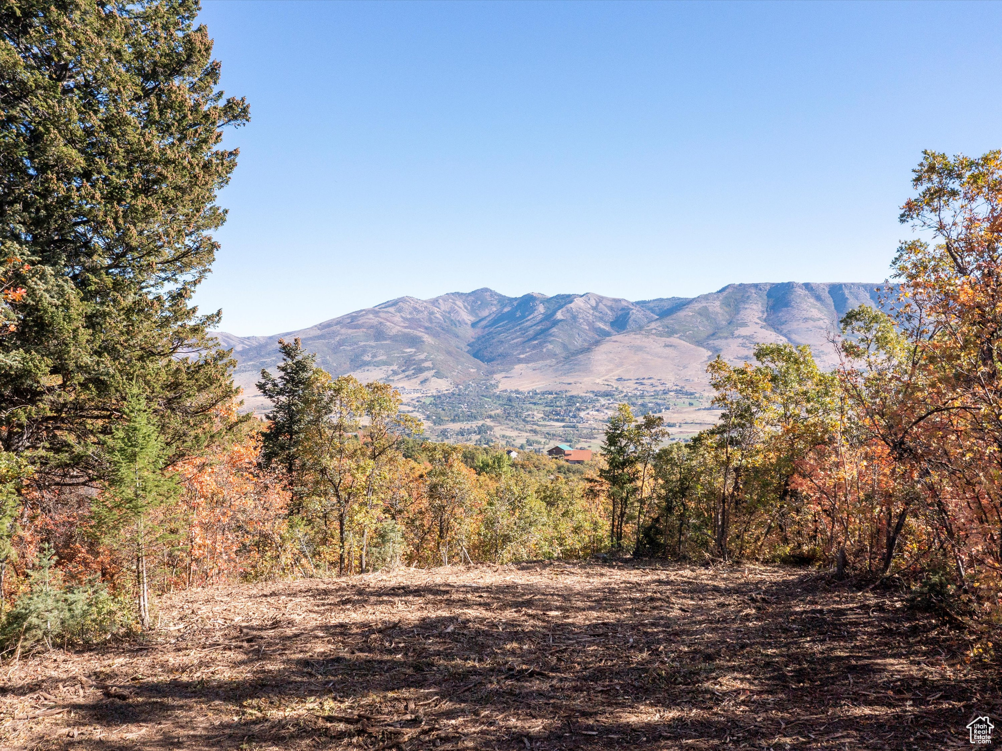 main property photo 17