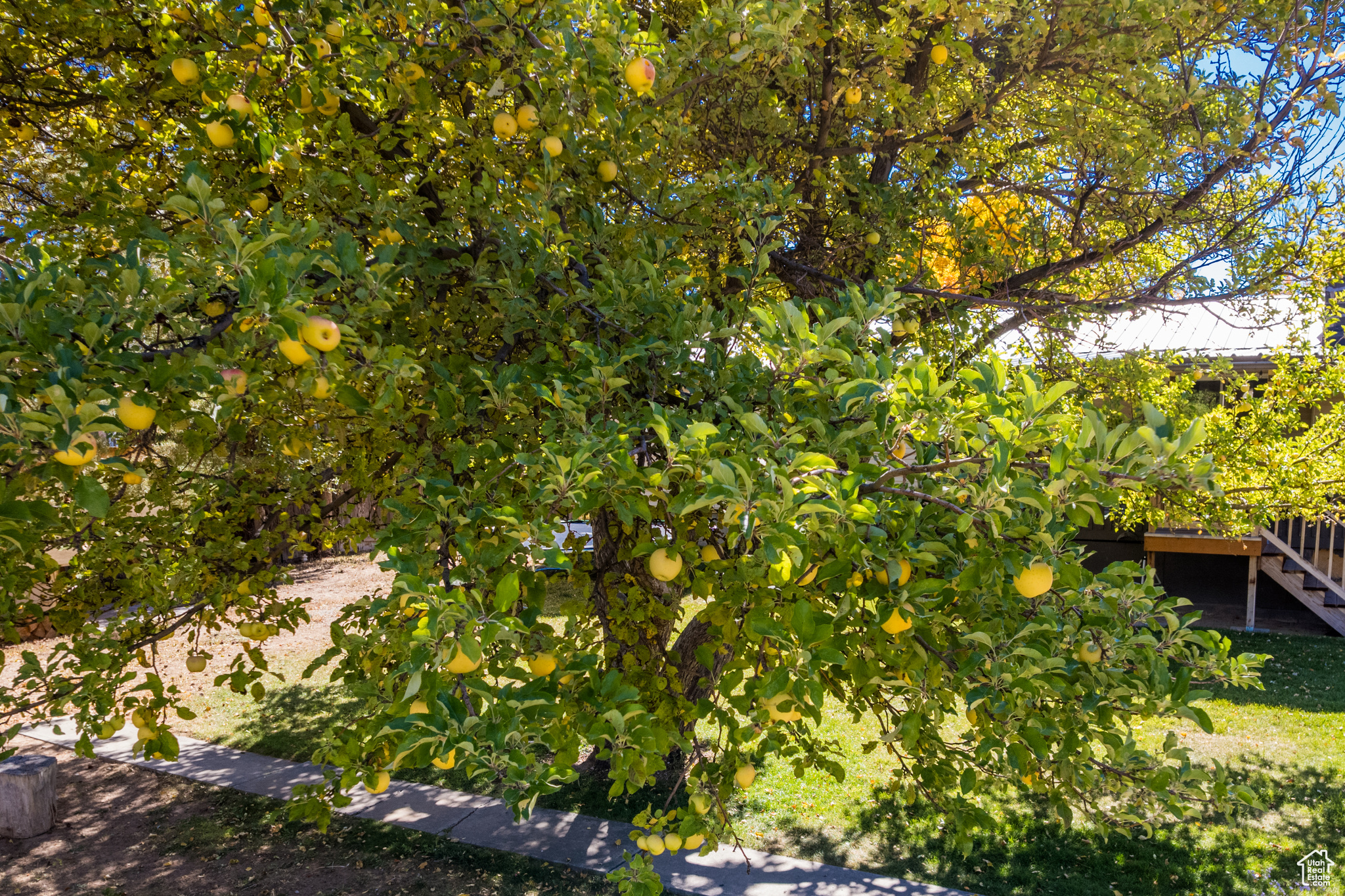 main property photo 38