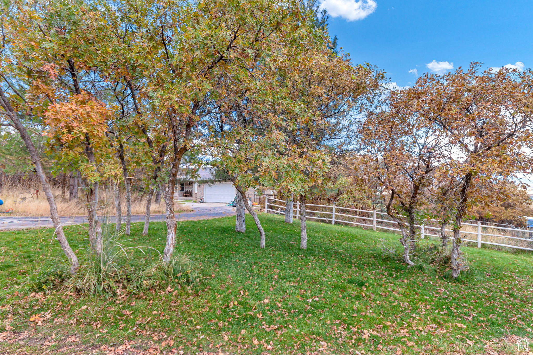 main property photo 48