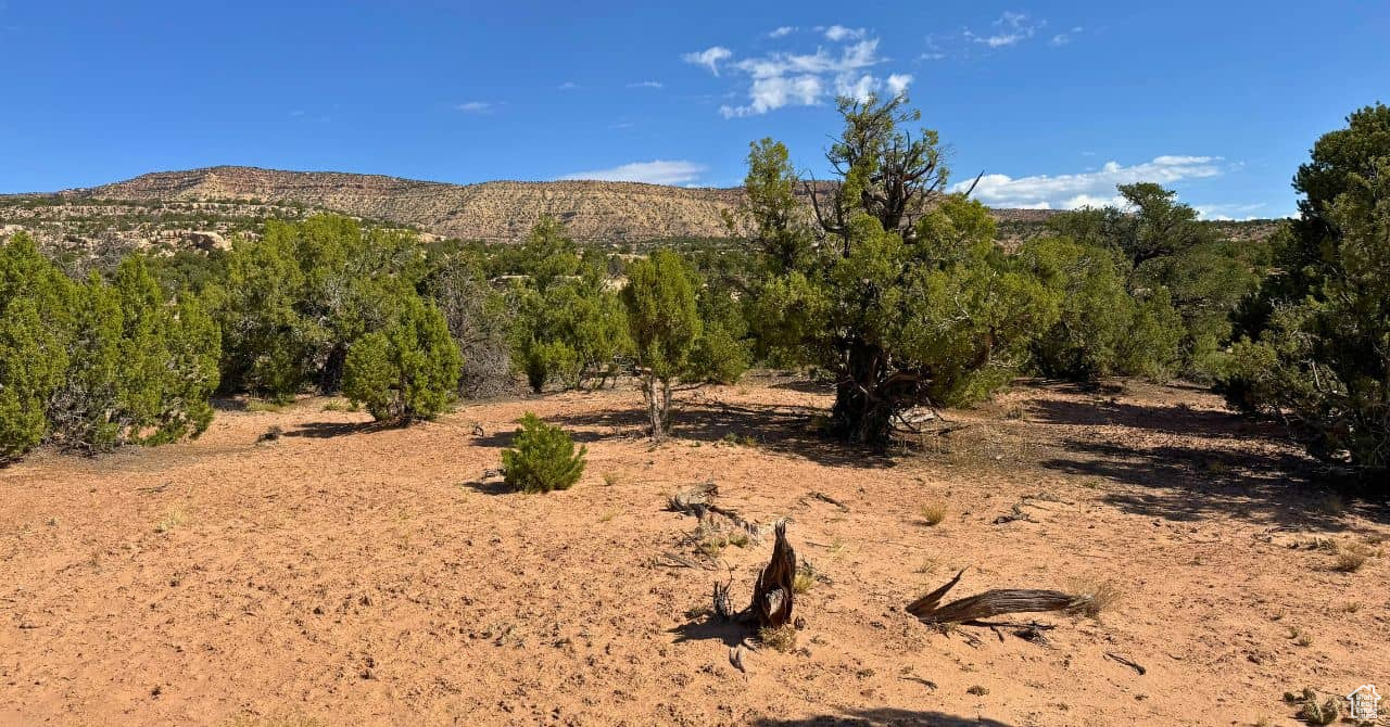 main property photo 0