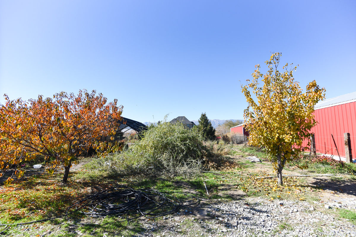 main property photo 57