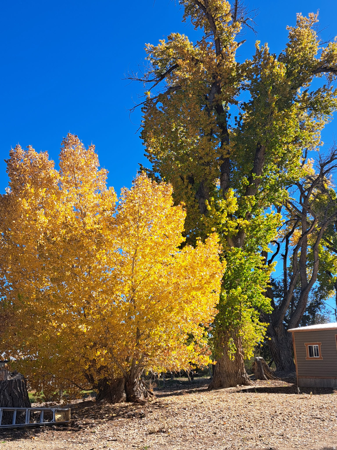 main property photo 65