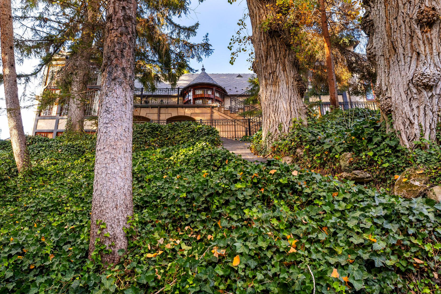 main property photo 75