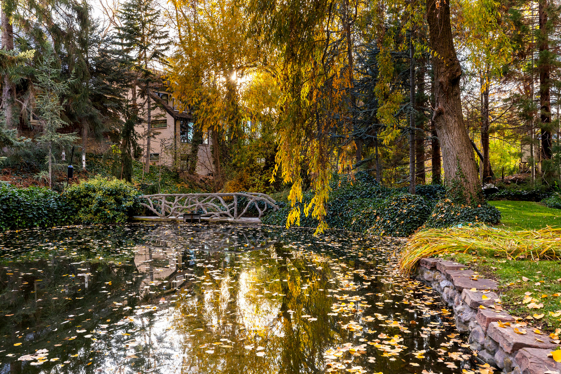 main property photo 79