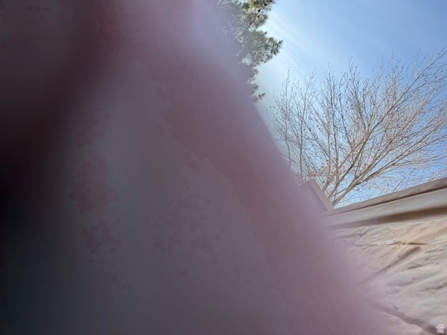 main property photo 97