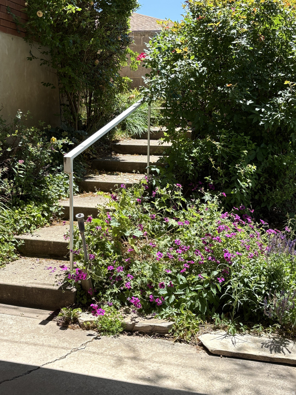 main property photo 57