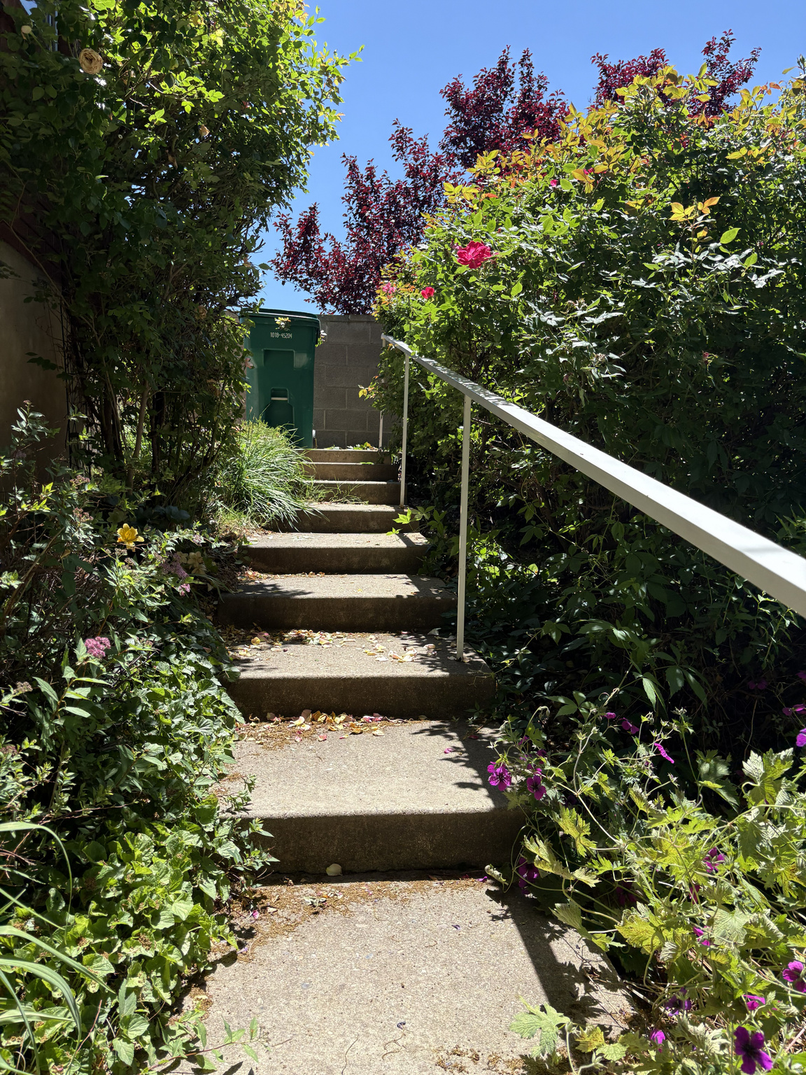 main property photo 58