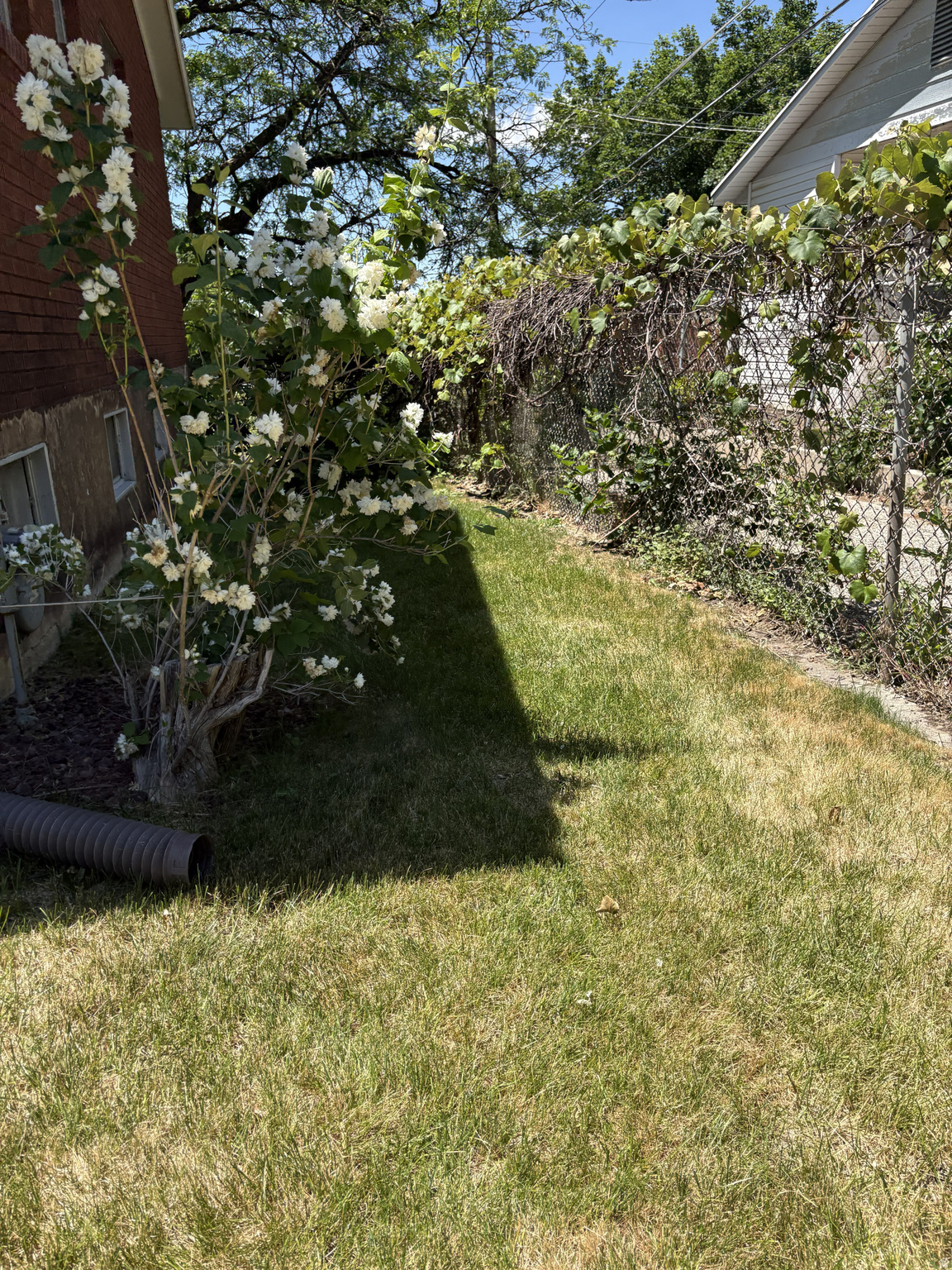 main property photo 62