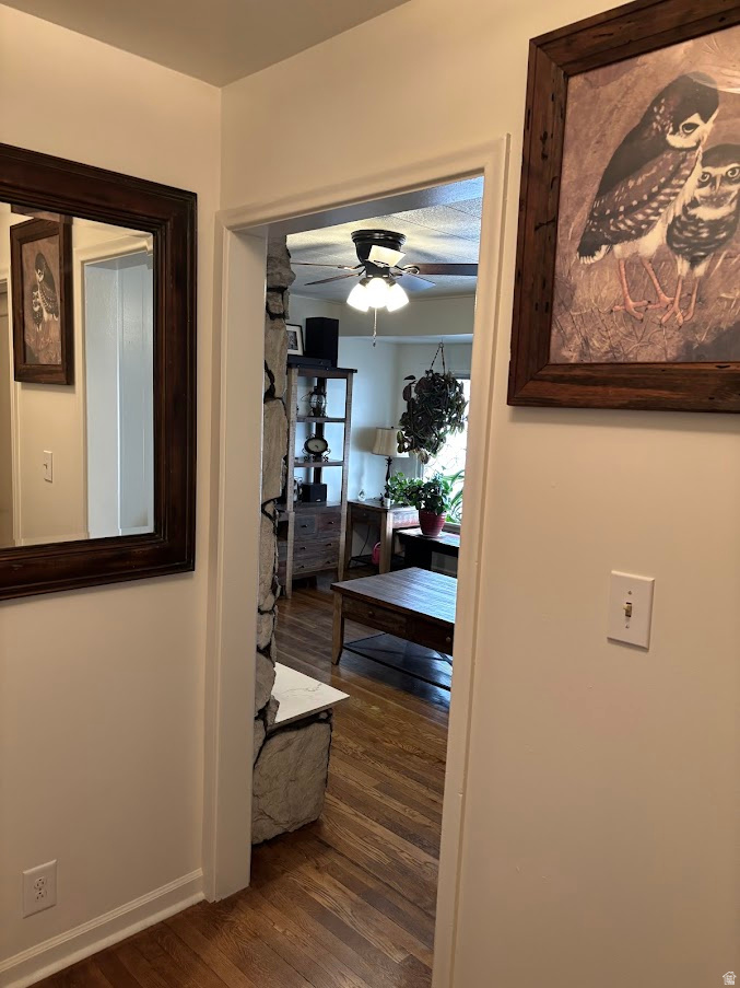 main property photo 15