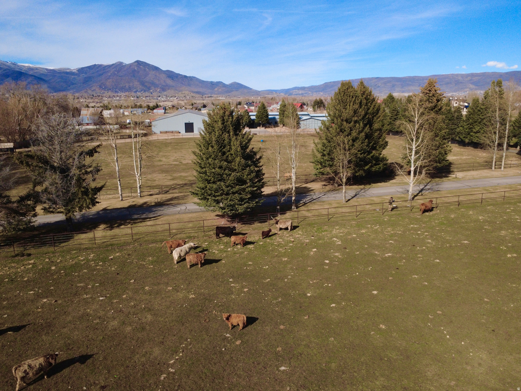 main property photo 14