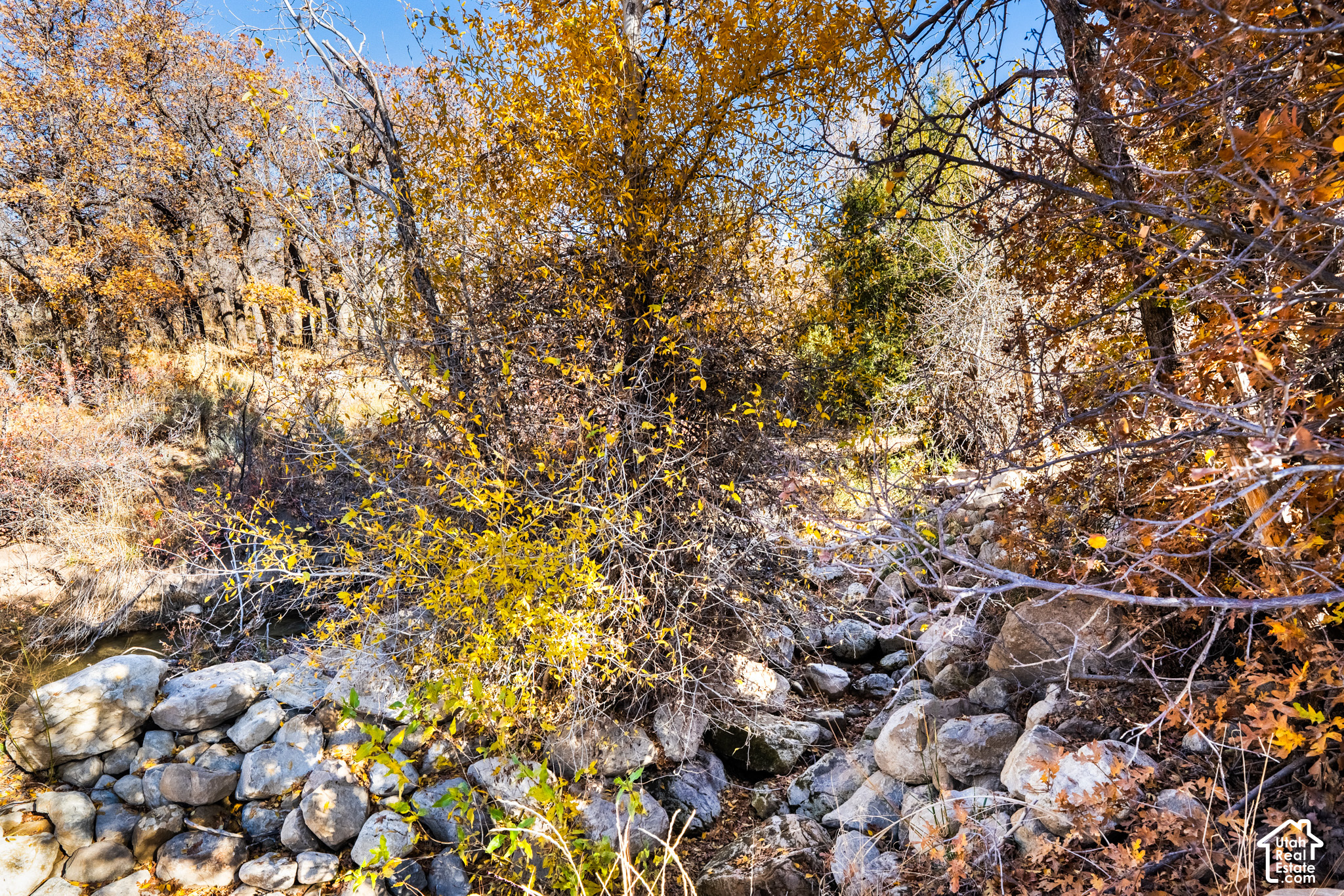 main property photo 113