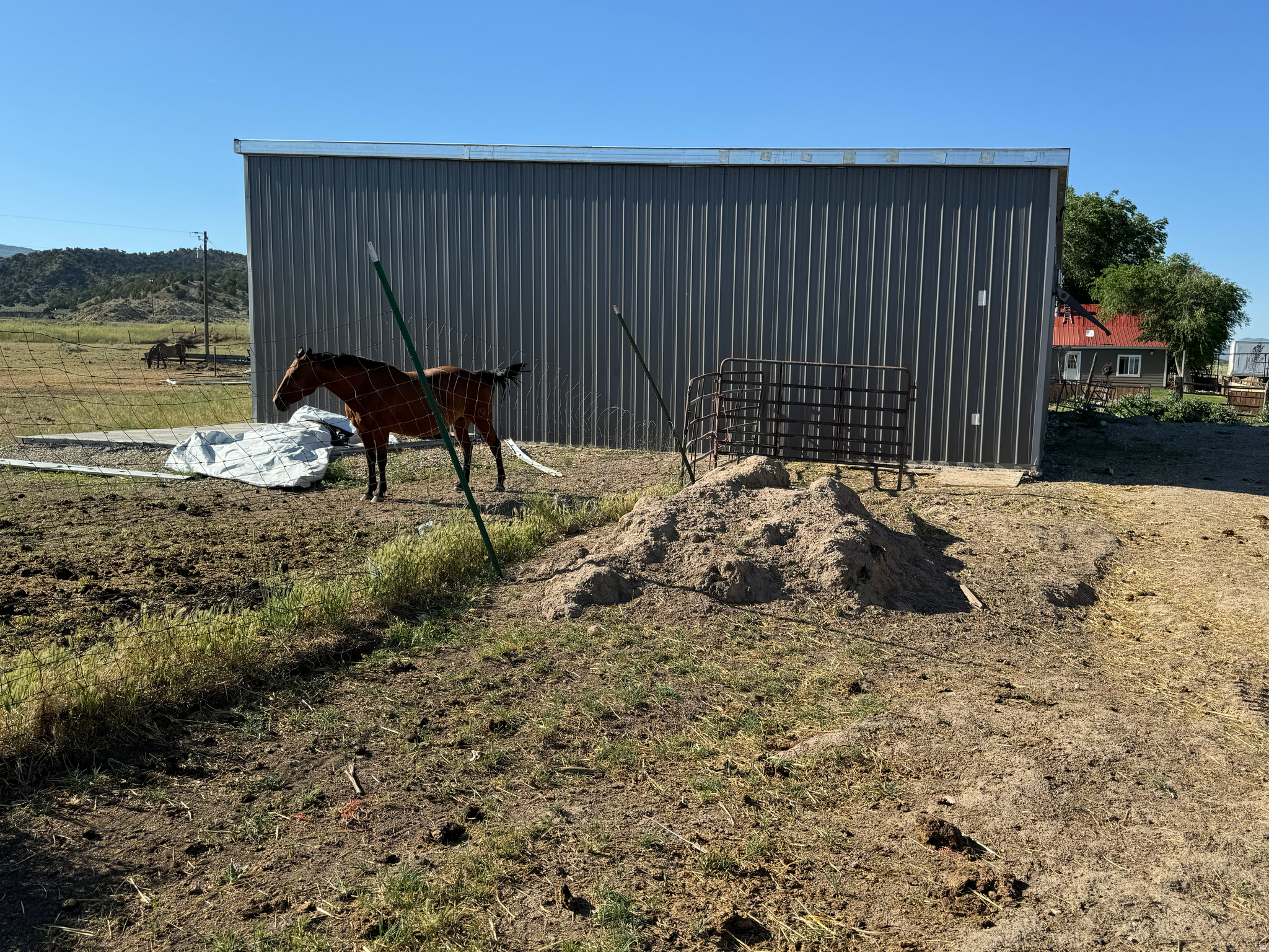 main property photo 15