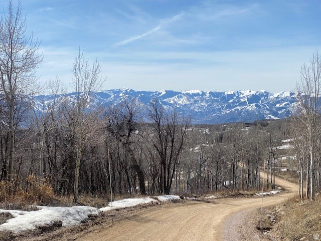 main property photo 11