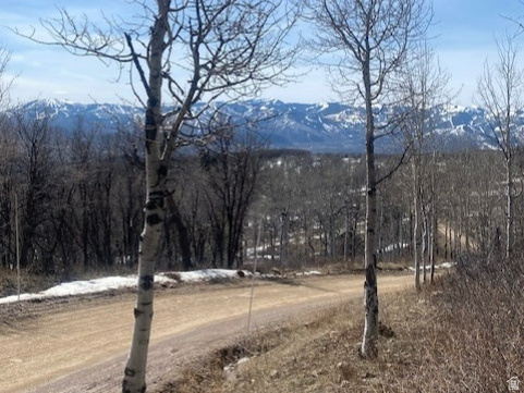 main property photo 23